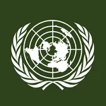 Economic and Social Council (ECOSOC)