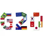 G20
