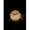 Jia Fung HoProfile Picture