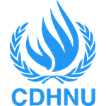 Consejo de Derechos Humanos de las Naciones Unidas