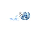 University of Essex Model United Nations