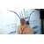 Amina BoumlalProfile Picture