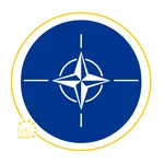 North Atlantic Treaty Organization (NATO)