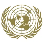 United Nations Security Council (UNSC)
