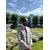 Wilheim BlocailProfile Picture