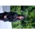 Azrah FathimaProfile Picture