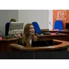 Natalia MichalskaProfile Picture