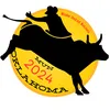 Oklahoma State Model United Nations 