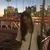 Eleanor ShabtaiProfile Picture