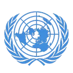 Economic and Social Council (ECOSOC)