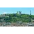 Baptiste  CervoniProfile Picture