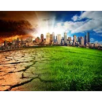 United Nations Environment Assembly (UNEA)