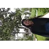 Méane SalomonProfile Picture