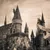 Derin LinProfile Picture