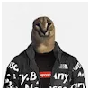 Takeshi UchidaProfile Picture