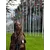 Mignelle KaneProfile Picture