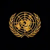 Shine Model United Nations 